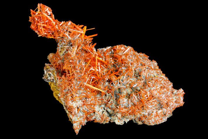 Bright Orange Crocoite Crystal Cluster - Tasmania #182728